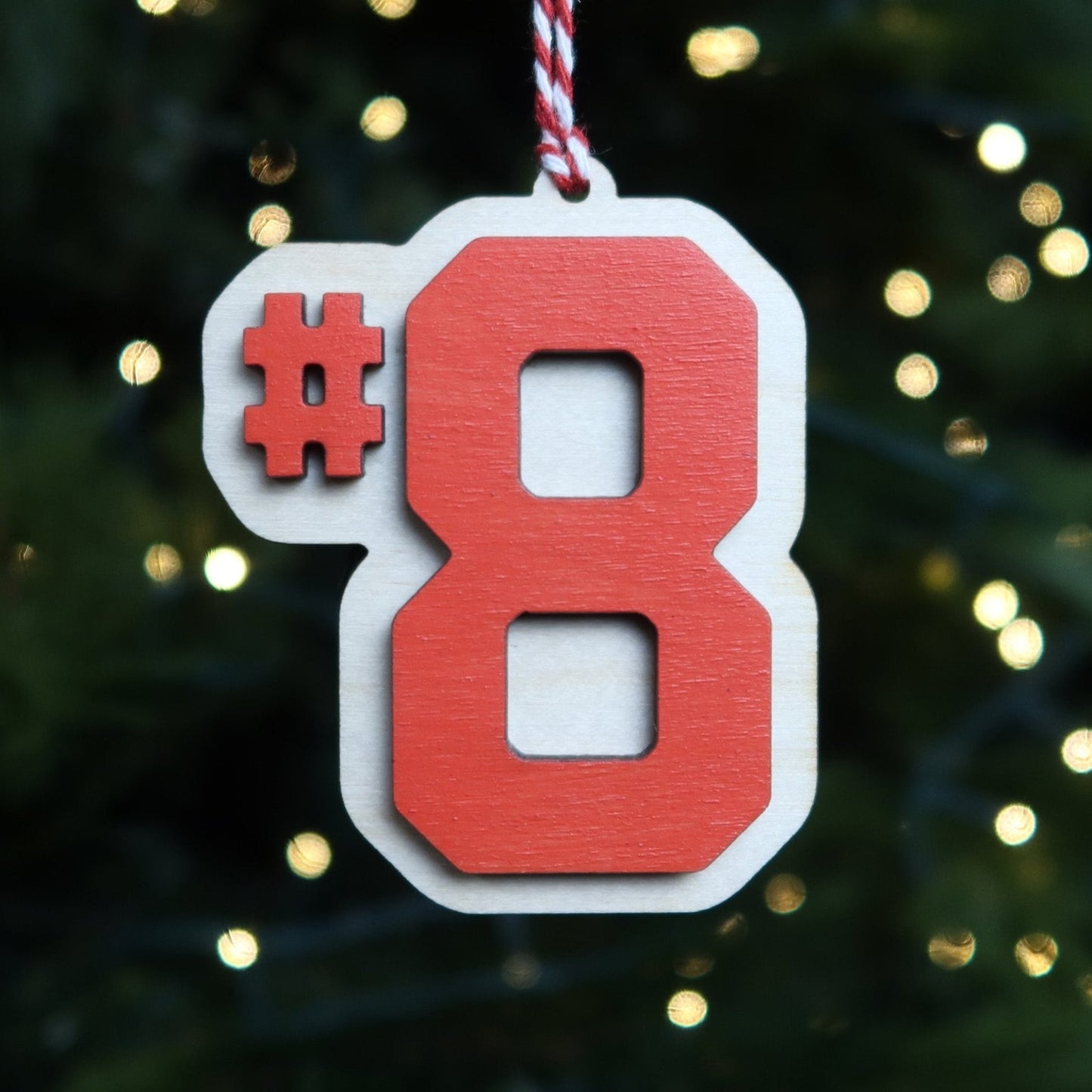 Custom Number Ornament - Holiday Ornaments - Moon Rock Prints