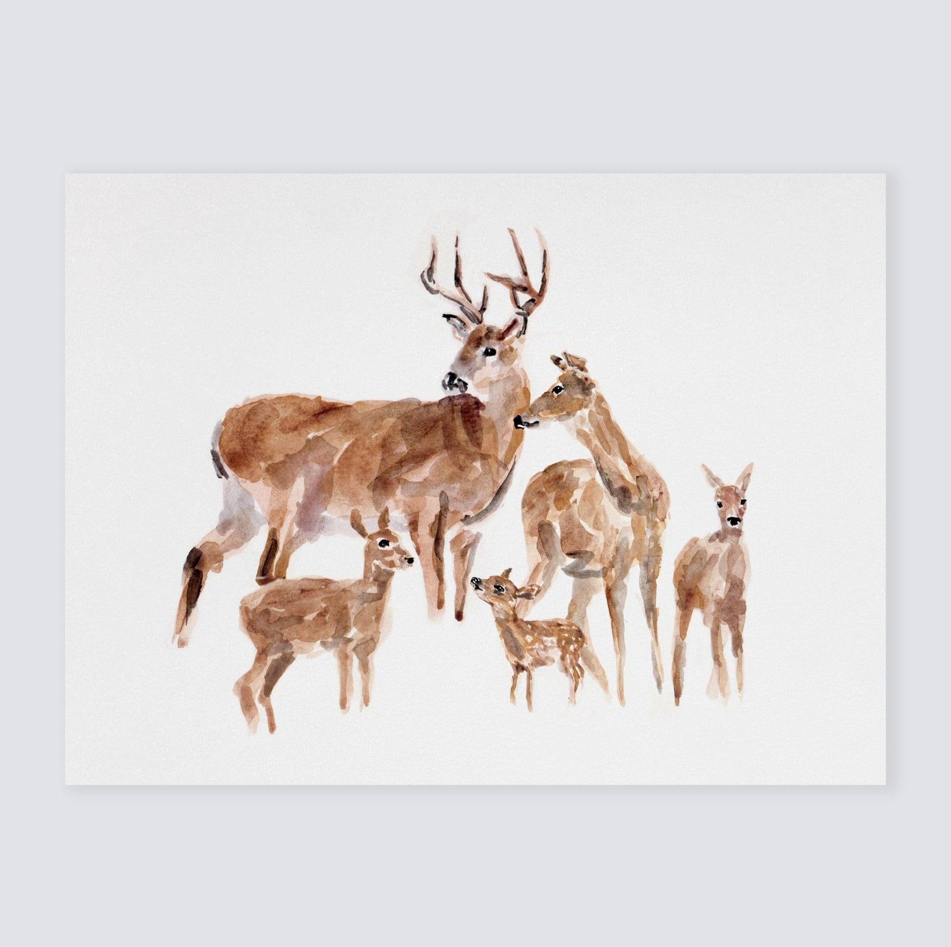 Deer Family of 5 Woodland Animal Watercolor Art Print - Art Prints - Moon Rock Prints