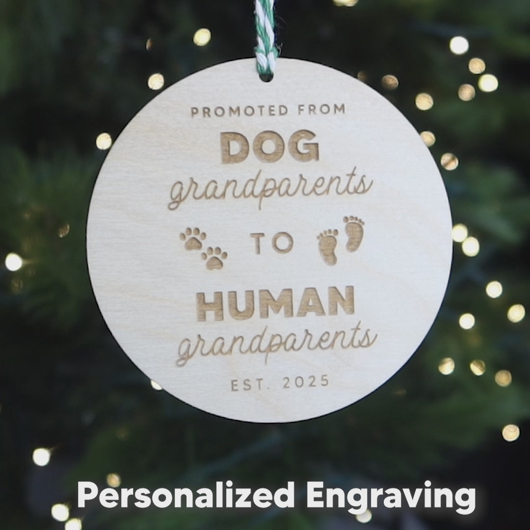 Promoted from Dog Grandparents to Human Grandparents Personalized Pregnancy Reveal Christmas Ornament Gift for Grandparents to Be